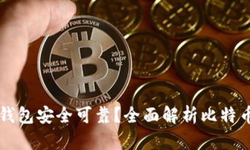 比特币存哪个钱包安全可靠？全面解析比特币钱包选择指南