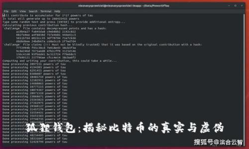 狐狸钱包：揭秘比特币的真实与虚伪