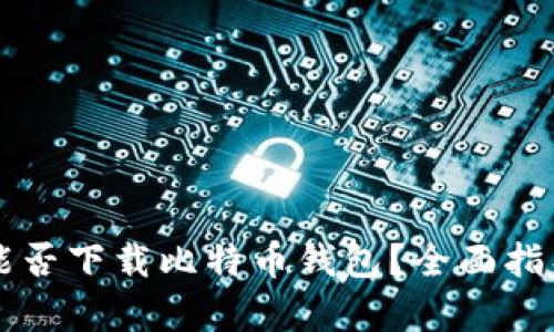非小号能否下载比特币钱包？全面指导与分析