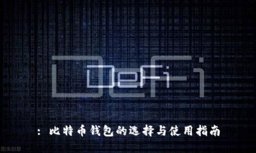 : 比特币钱包的选择与使用指南