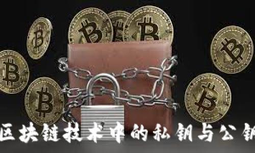   
深入理解区块链技术中的私钥与公钥钱包系统