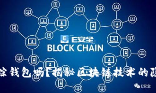 比特币能追踪钱包吗？揭秘区块链技术的隐私与透明性