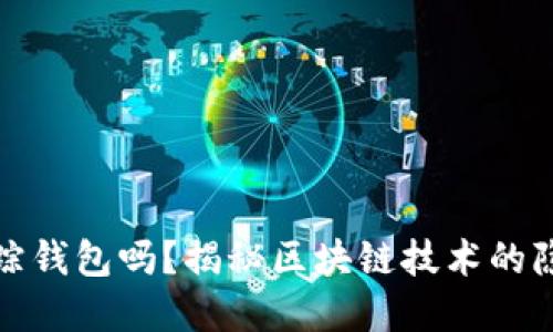 比特币能追踪钱包吗？揭秘区块链技术的隐私与透明性