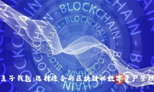 麦子钱包：选择适合的区块链以数字资产管理