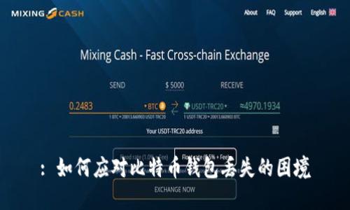 : 如何应对比特币钱包丢失的困境
