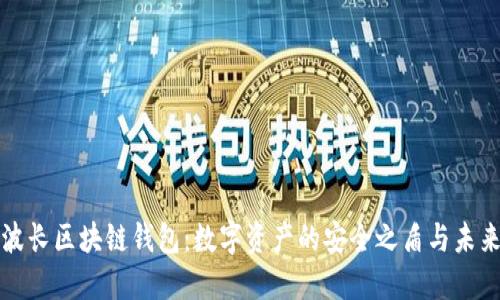 波长区块链钱包：数字资产的安全之盾与未来