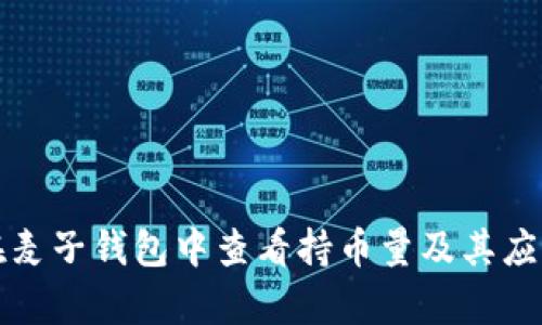 如何在麦子钱包中查看持币量及其应用解析