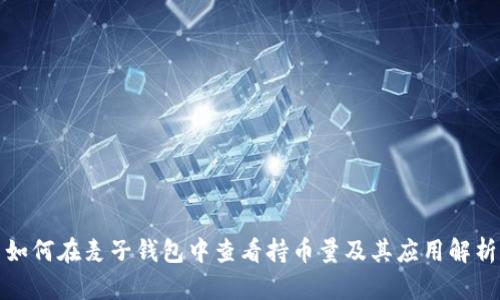 如何在麦子钱包中查看持币量及其应用解析