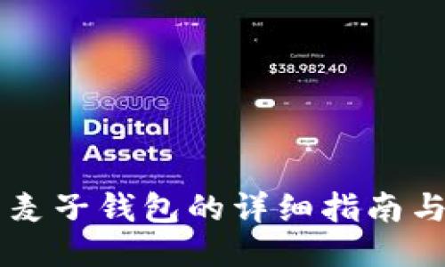手机下载麦子钱包的详细指南与使用技巧