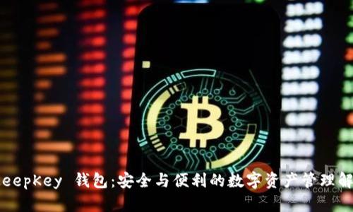 探索 KeepKey 钱包：安全与便利的数字资产管理解决方案