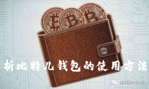 全面解析比特儿钱包的使用方法与技巧