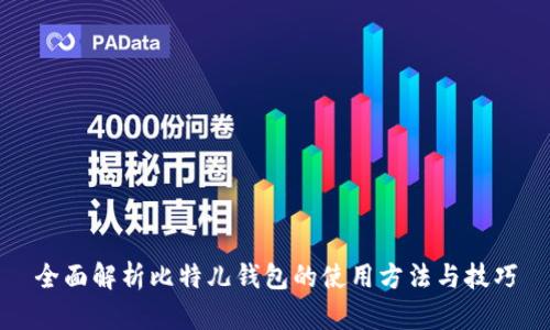全面解析比特儿钱包的使用方法与技巧