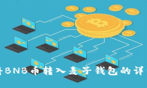 如何将BNB币转入麦子钱包的详细指南