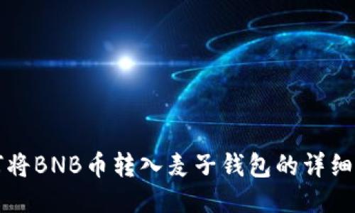 如何将BNB币转入麦子钱包的详细指南