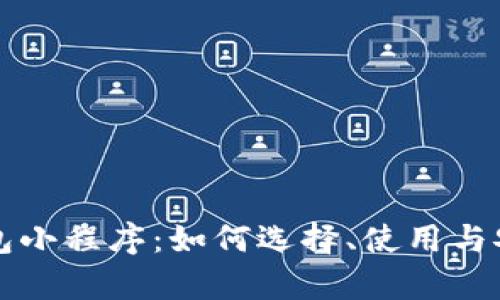 比特币钱包小程序：如何选择、使用与安全性分析