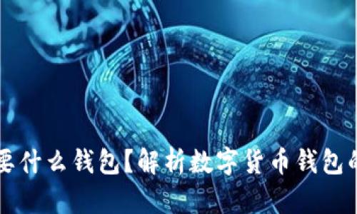买虚拟币需要什么钱包？解析数字货币钱包的选择与使用