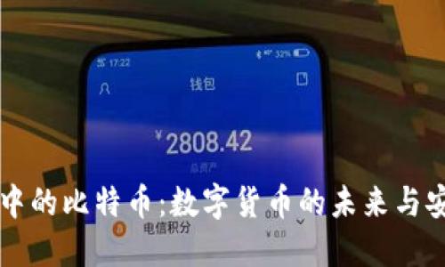 手机钱包中的比特币：数字货币的未来与安全性探讨
