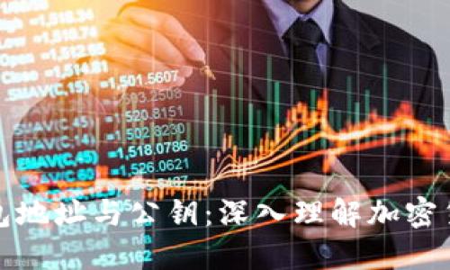 比特币钱包地址与公钥：深入理解加密货币的基础