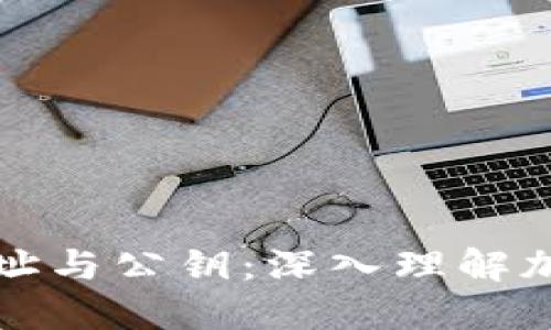 比特币钱包地址与公钥：深入理解加密货币的基础