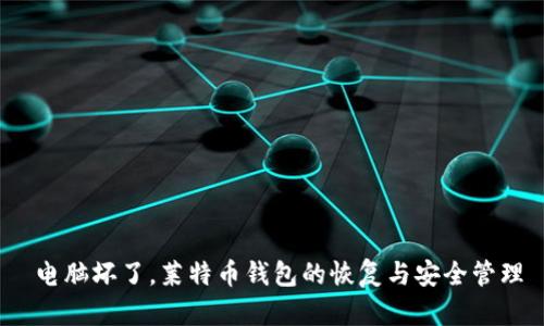  电脑坏了，莱特币钱包的恢复与安全管理