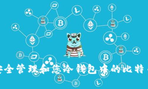 如何安全管理和您冷钱包中的比特币存储