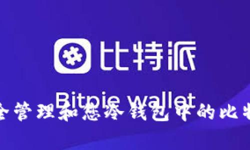 如何安全管理和您冷钱包中的比特币存储