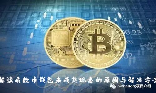 解读质数币钱包未成熟现象的原因与解决方案