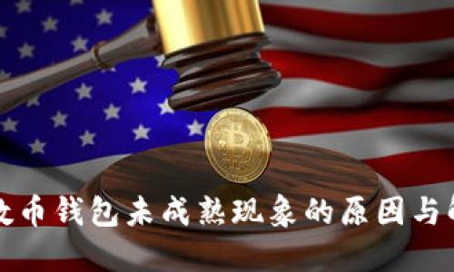 解读质数币钱包未成熟现象的原因与解决方案