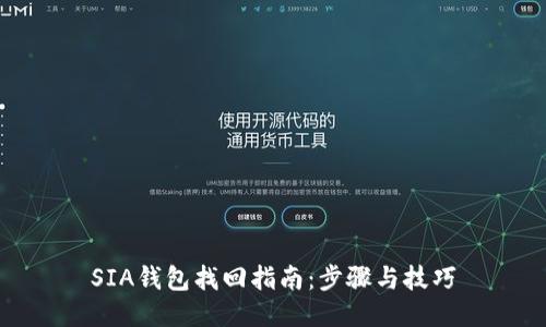 SIA钱包找回指南：步骤与技巧