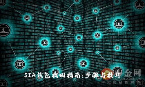 SIA钱包找回指南：步骤与技巧