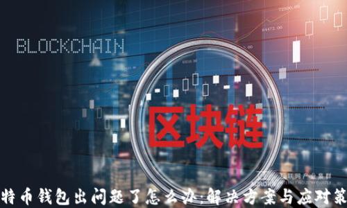 
比特币钱包出问题了怎么办：解决方案与应对策略