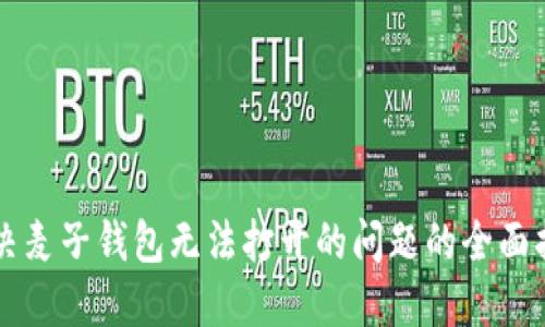 解决麦子钱包无法打开的问题的全面指南