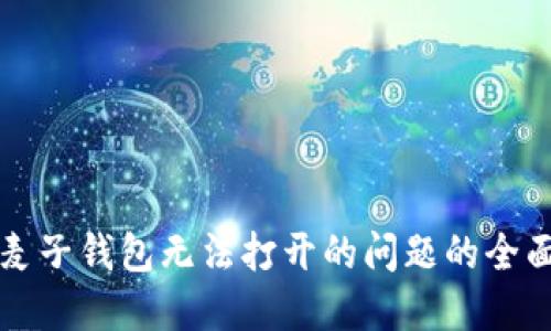 解决麦子钱包无法打开的问题的全面指南