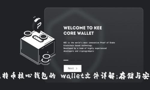 比特币核心钱包的 wallet文件详解：存储与安全