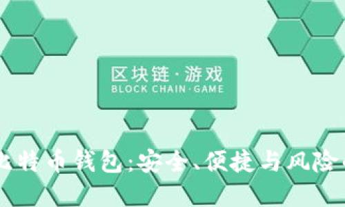手机上的比特币钱包：安全、便捷与风险的全景探索