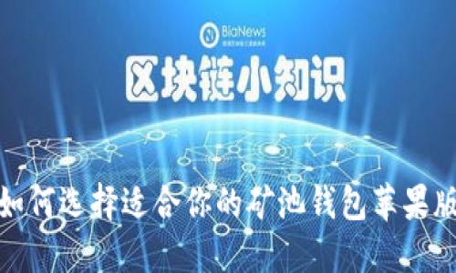 如何选择适合你的矿池钱包苹果版