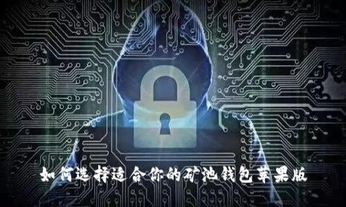 如何选择适合你的矿池钱包苹果版