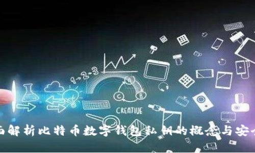 全面解析比特币数字钱包私钥的概念与安全性