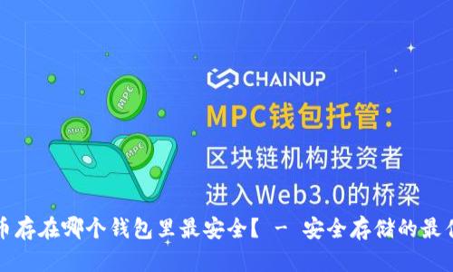 比特币存在哪个钱包里最安全？ - 安全存储的最佳选择