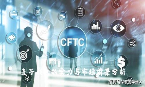 麦子钱包的实力与市场前景分析
