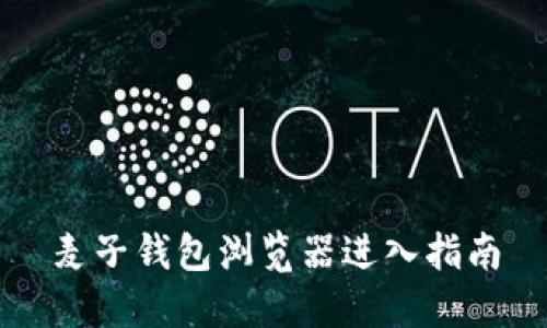 麦子钱包浏览器进入指南