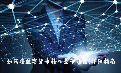 如何将数字货币转入麦子钱包：详细指南