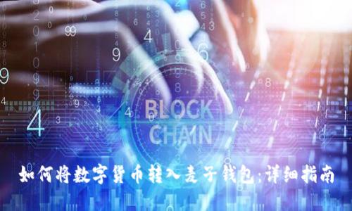 如何将数字货币转入麦子钱包：详细指南