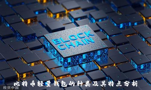 比特币轻量钱包的种类及其特点分析