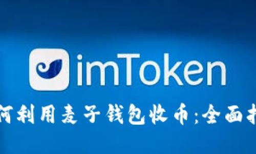 如何利用麦子钱包收币：全面指南