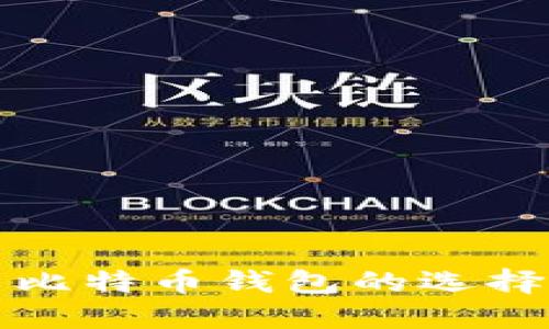深入探索比特币钱包的选择与安全性