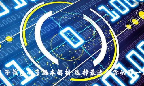 麦子钱包的多版本解析：选择最适合你的那一款