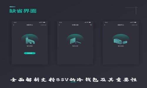 全面解析支持BSV的冷钱包及其重要性