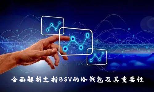全面解析支持BSV的冷钱包及其重要性