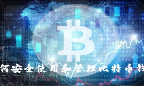 如何安全使用和管理比特币钱包